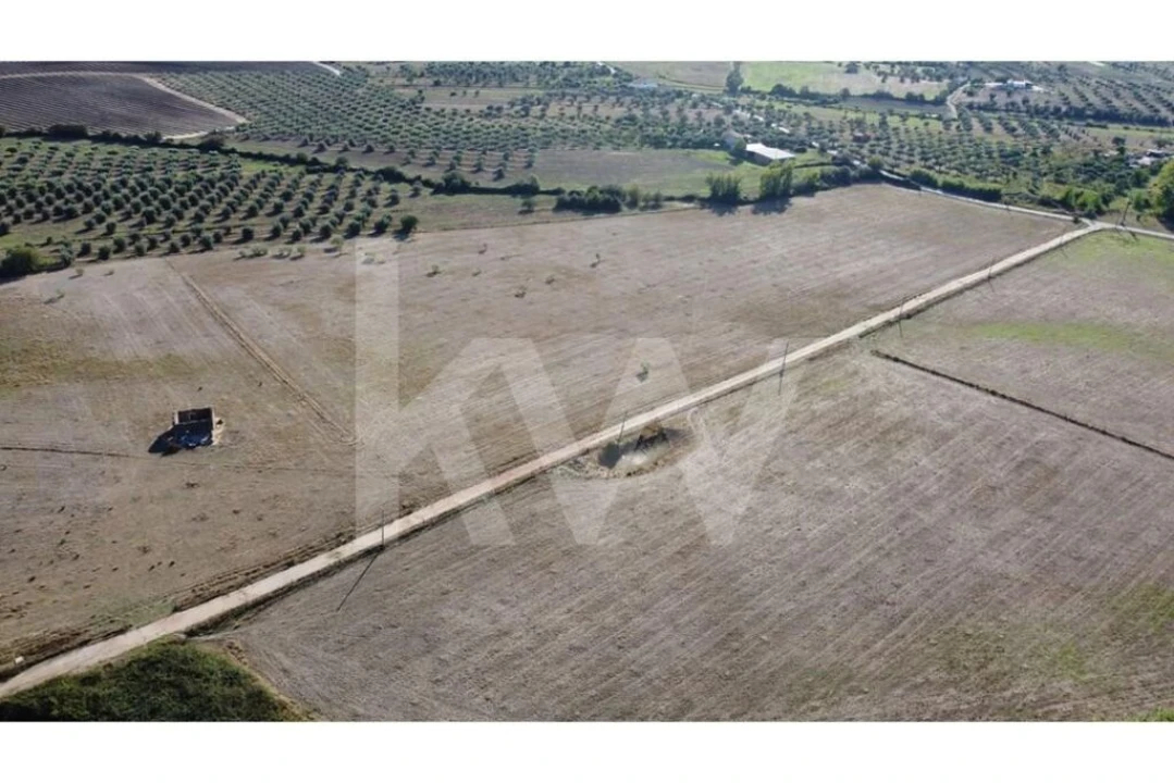 Quinta T4 para Venda em Ladoeiro Foto 103