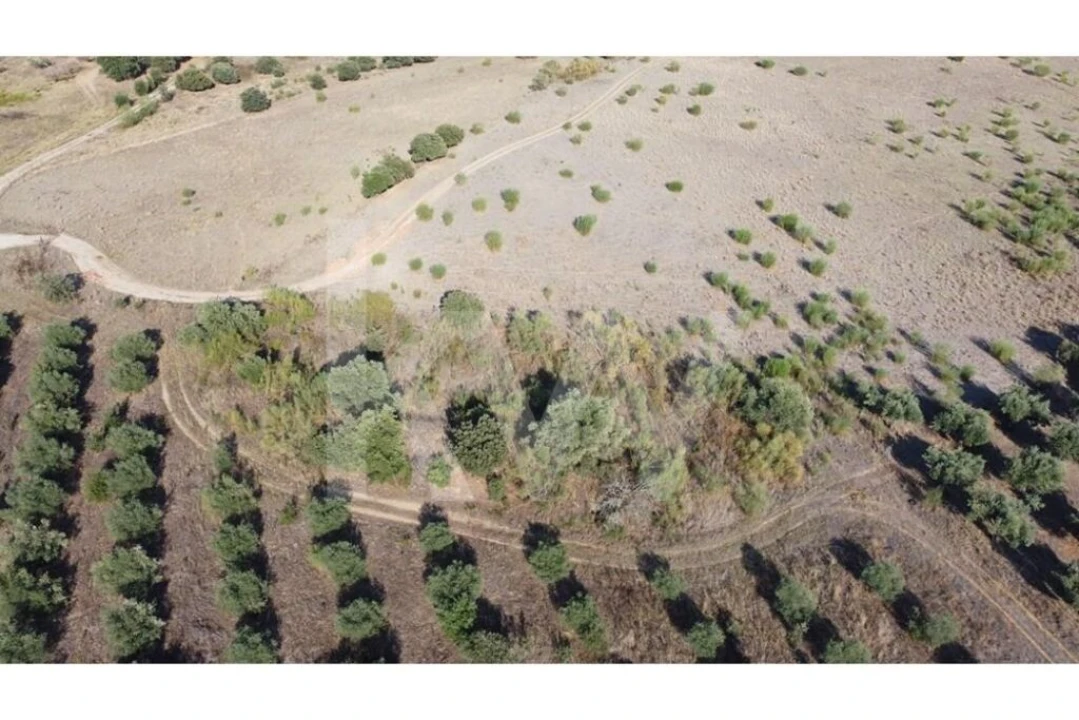 Quinta T4 para Venda em Ladoeiro Foto 86