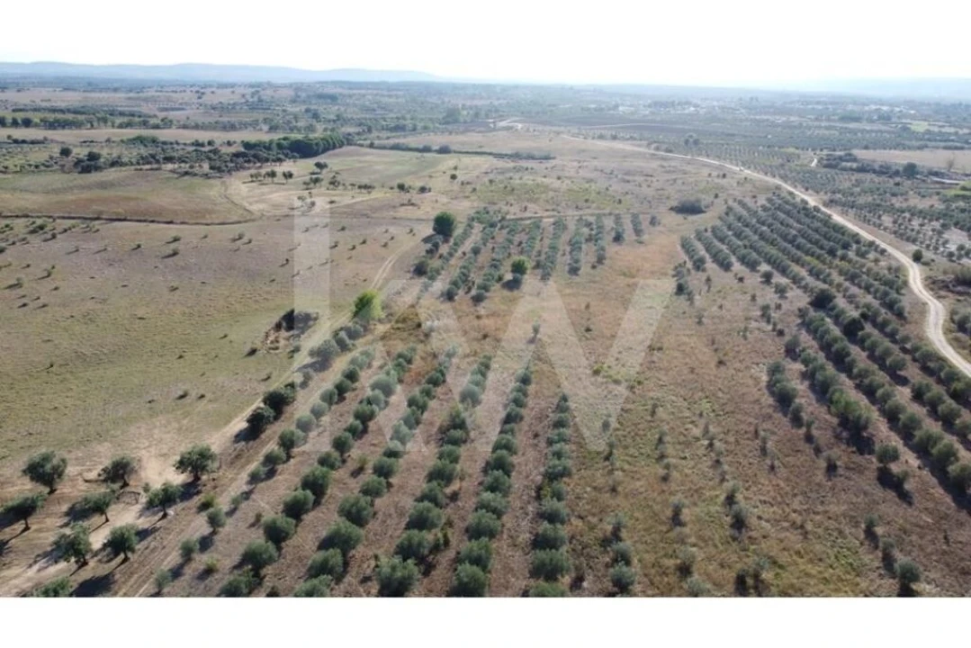 Quinta T4 para Venda em Ladoeiro Foto 66