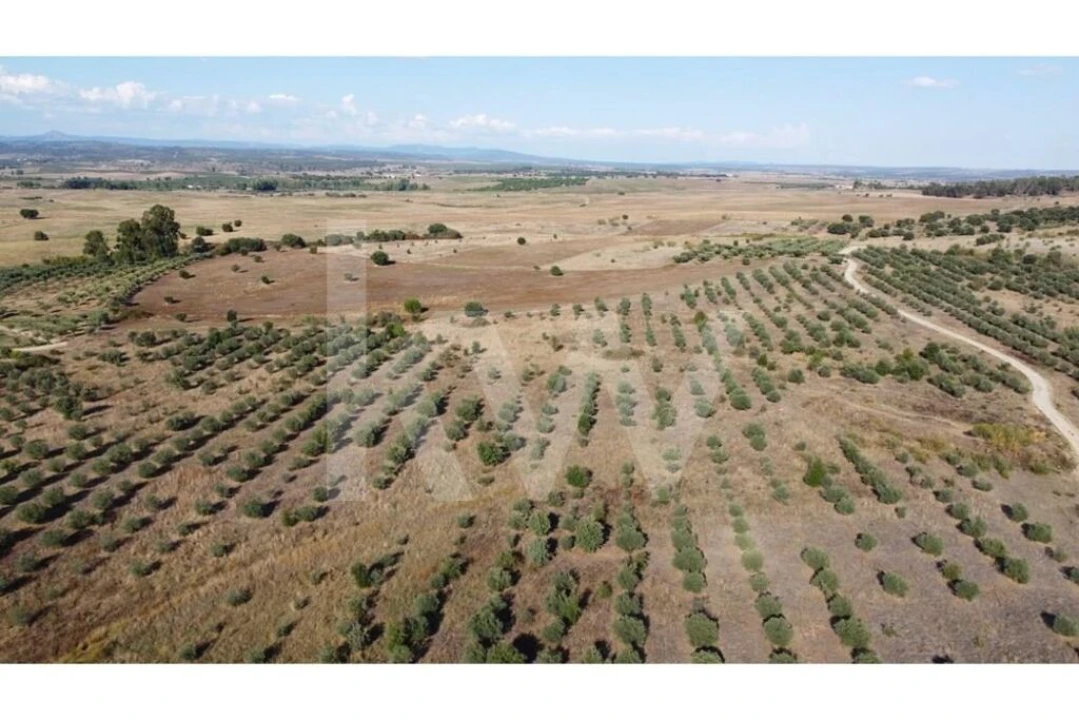 Quinta T4 para Venda em Ladoeiro Foto 113