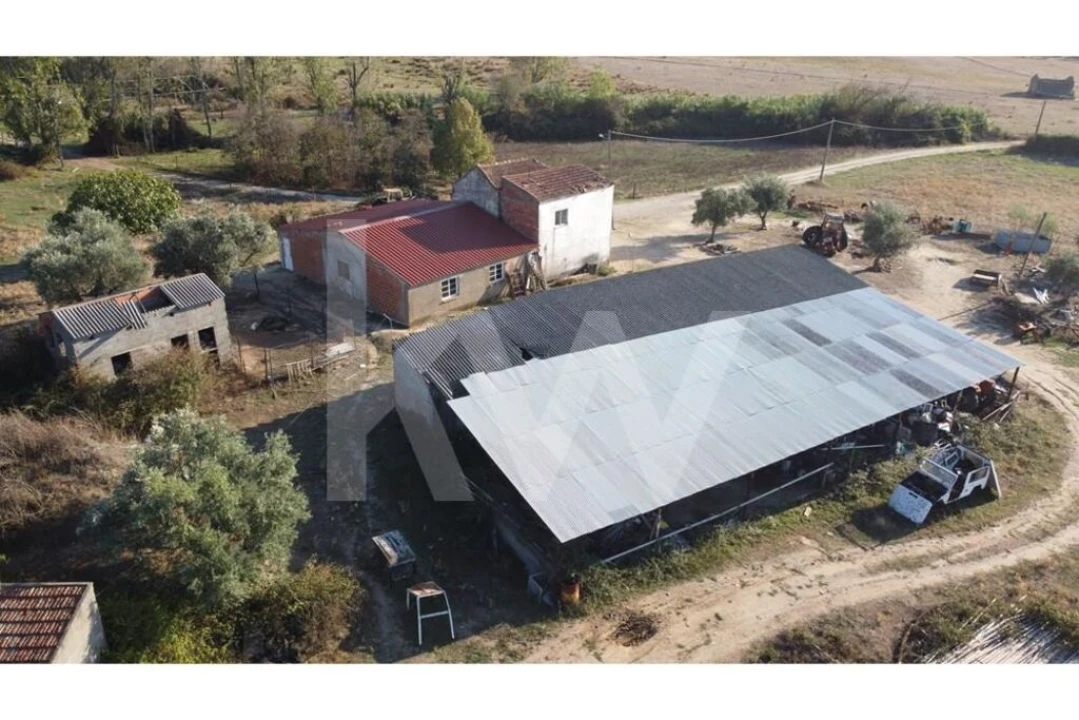 Quinta T4 para Venda em Ladoeiro Foto 75