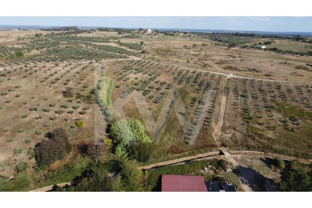 Quinta T4 para Venda em Ladoeiro Foto 58