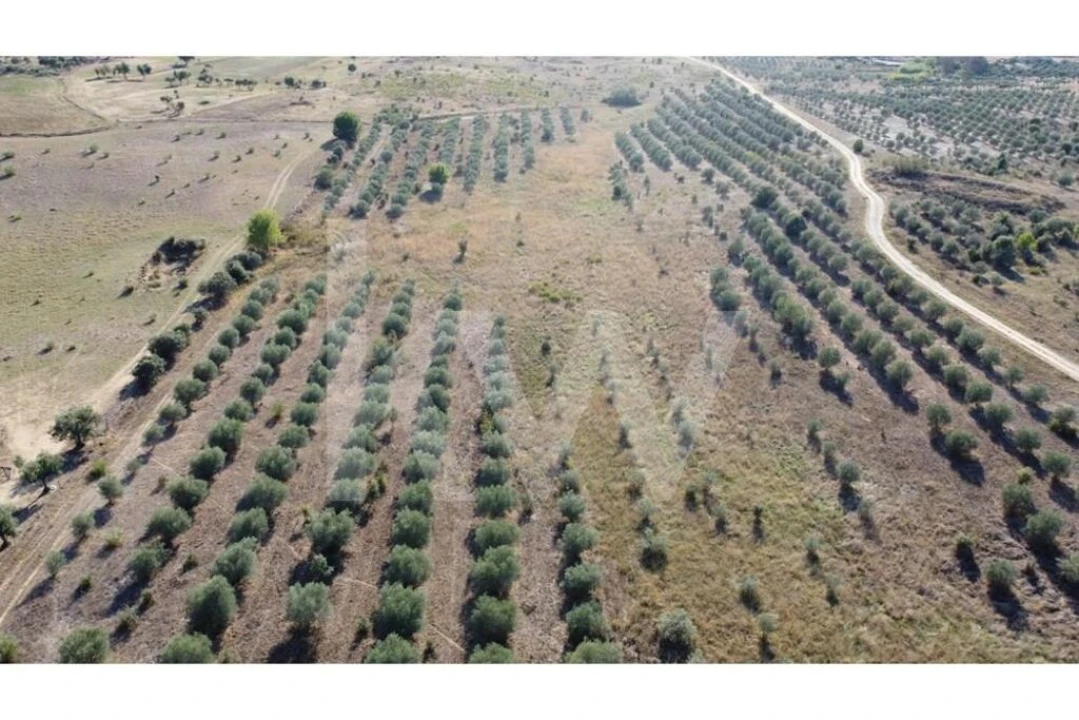 Quinta T4 para Venda em Ladoeiro Foto 67