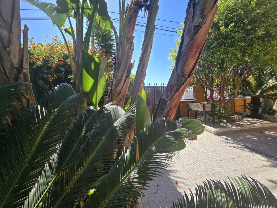 Moradia T4 para Arrendamento em Charneca de Caparica e Sobreda Foto 32