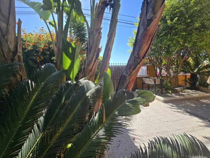 Moradia T4 para Arrendamento em Charneca de Caparica e Sobreda Foto 32