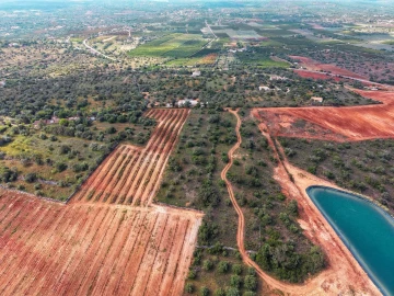 Terreno para Venda em São Bartolomeu de Messines