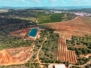Terreno para Venda em São Bartolomeu de Messines