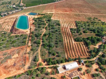 Terreno para Venda em São Bartolomeu de Messines