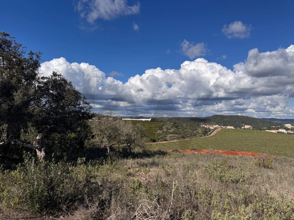 Terreno para Venda em São Bartolomeu de Messines Foto 1