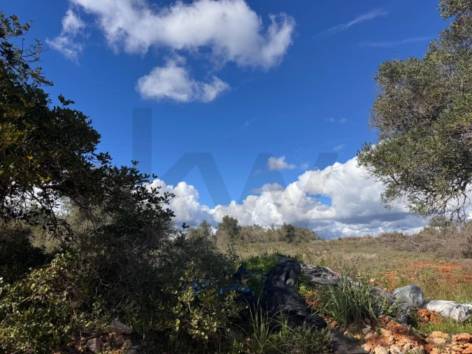 Terreno para Venda em São Bartolomeu de Messines Foto 2