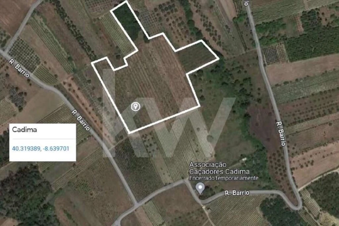 Terreno para Venda em Cadima Foto 3