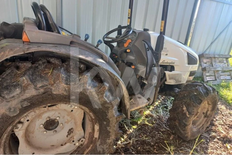 Terreno para Venda em Cadima Foto 23