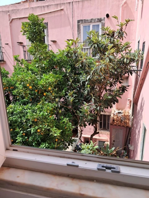 Prédio para Venda em Arroios