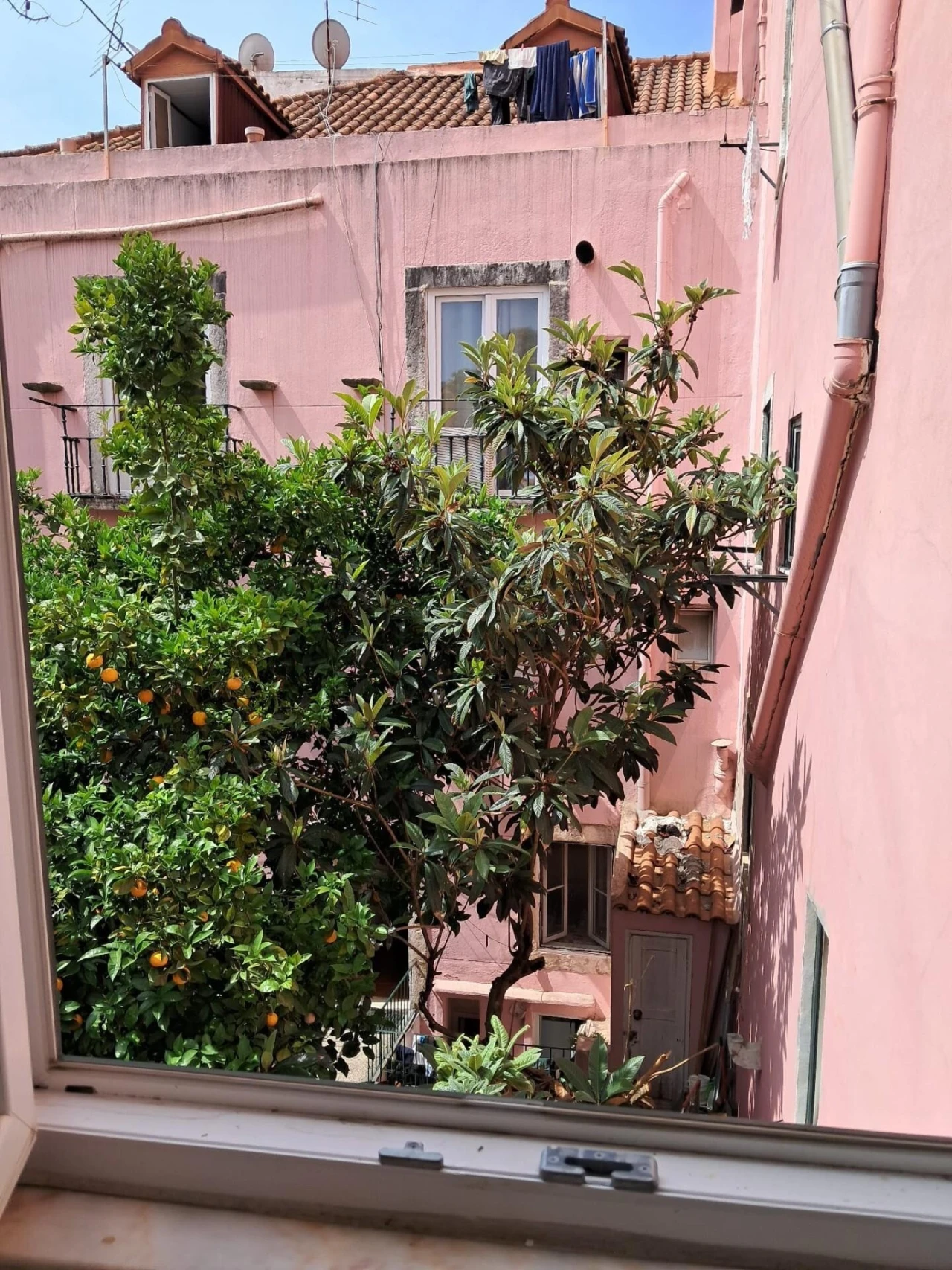 Prédio para Venda em Arroios Foto 35