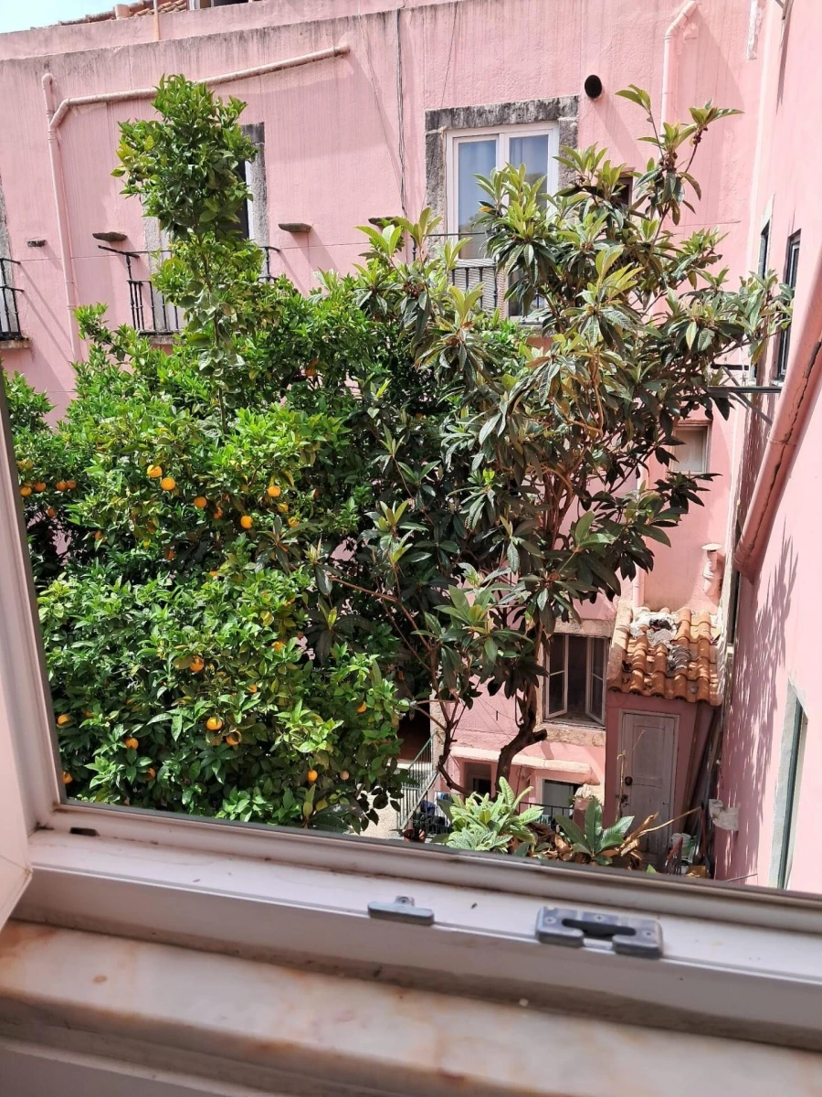 Prédio para Venda em Arroios Foto 36