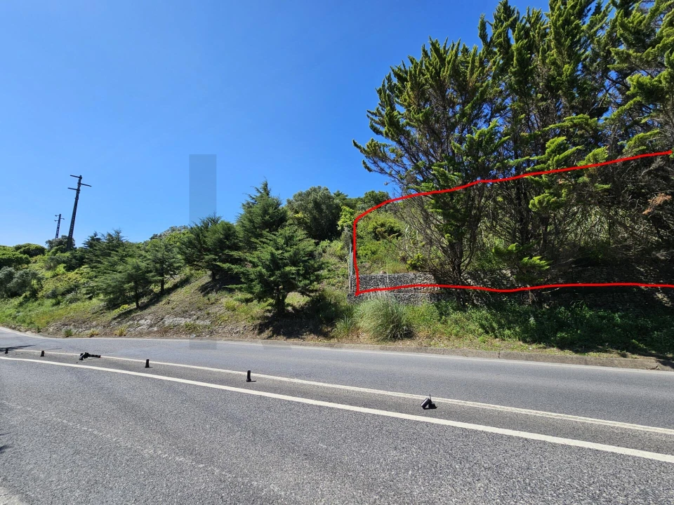 Terreno para Venda em Queluz e Belas Foto 3