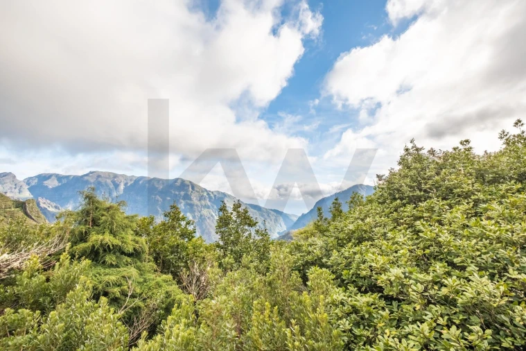 Loja para Venda em Serra de Agua Foto 12