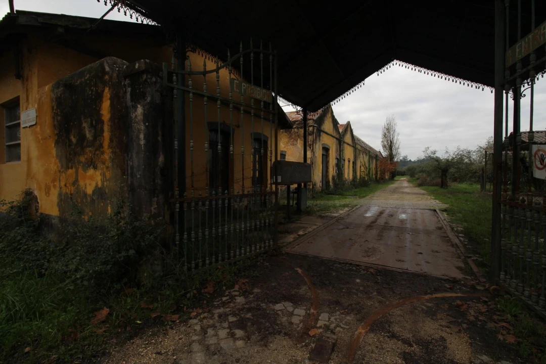 Quinta T5 para Venda em Soure Foto 16