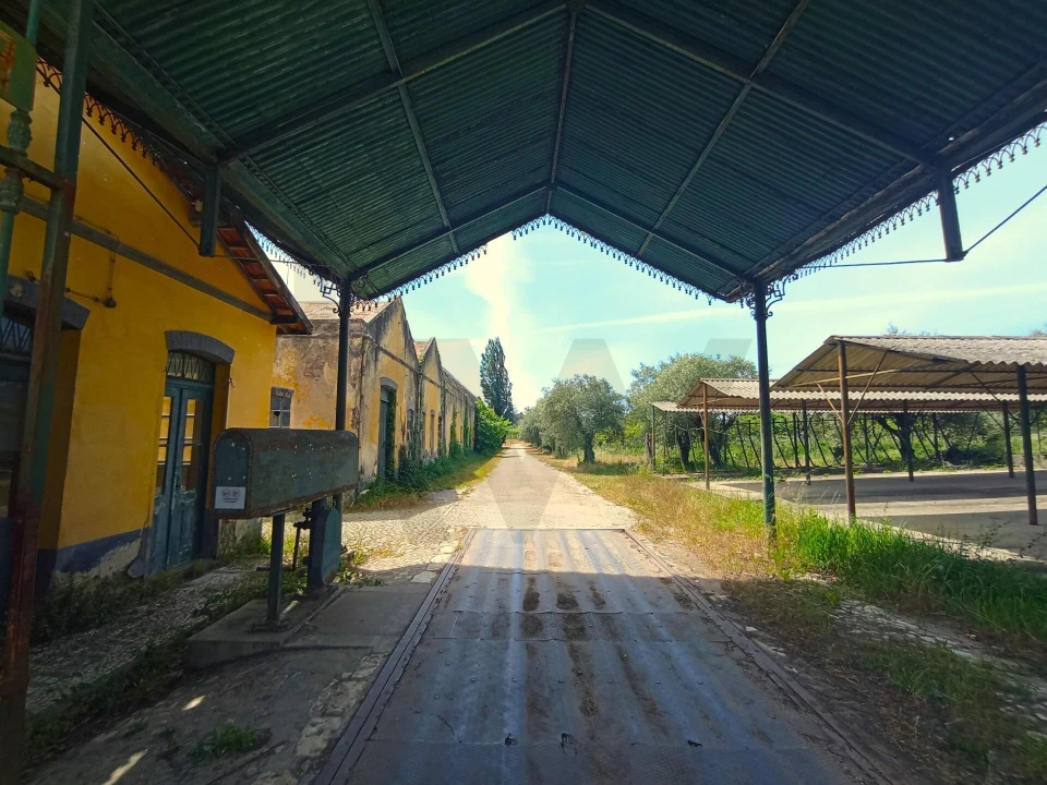 Quinta T5 para Venda em Soure Foto 5