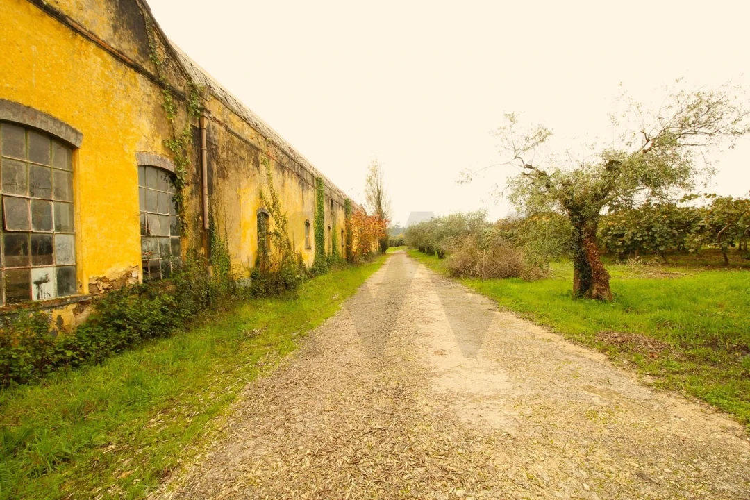 Quinta T5 para Venda em Soure Foto 22