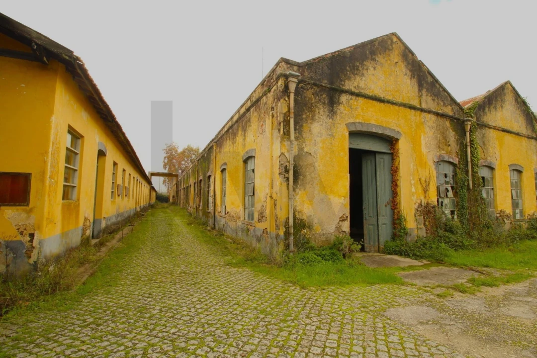 Quinta T5 para Venda em Soure Foto 19