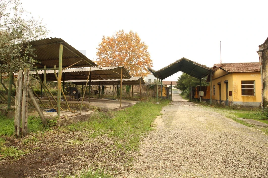 Quinta T5 para Venda em Soure Foto 25