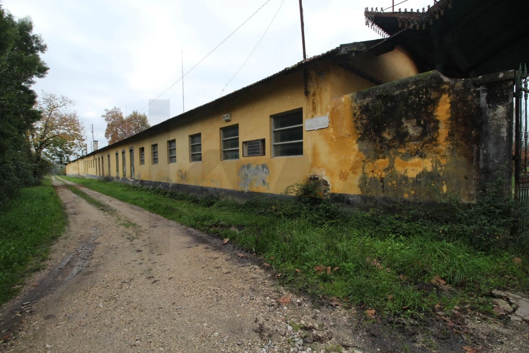 Quinta T5 para Venda em Soure Foto 13