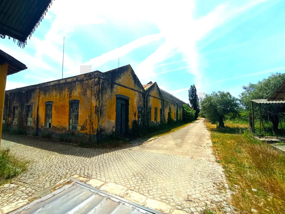 Quinta T5 para Venda em Soure Foto 4