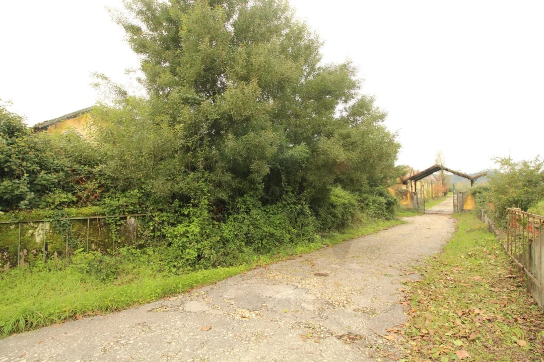 Quinta T5 para Venda em Soure Foto 8