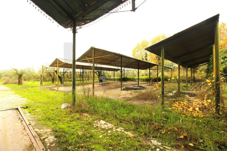 Quinta T5 para Venda em Soure Foto 18