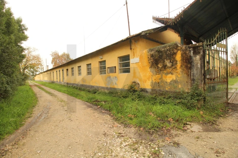 Quinta T5 para Venda em Soure Foto 10