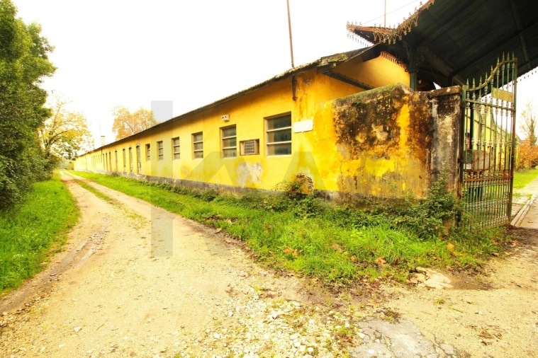 Quinta T5 para Venda em Soure Foto 11