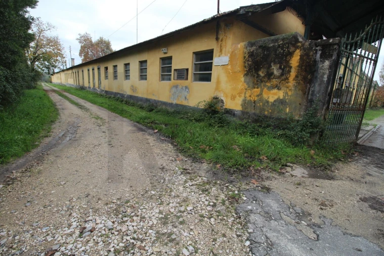 Quinta T5 para Venda em Soure Foto 12