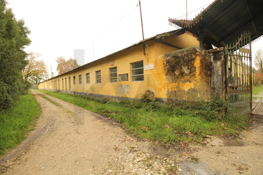 Quinta T5 para Venda em Soure Foto 10