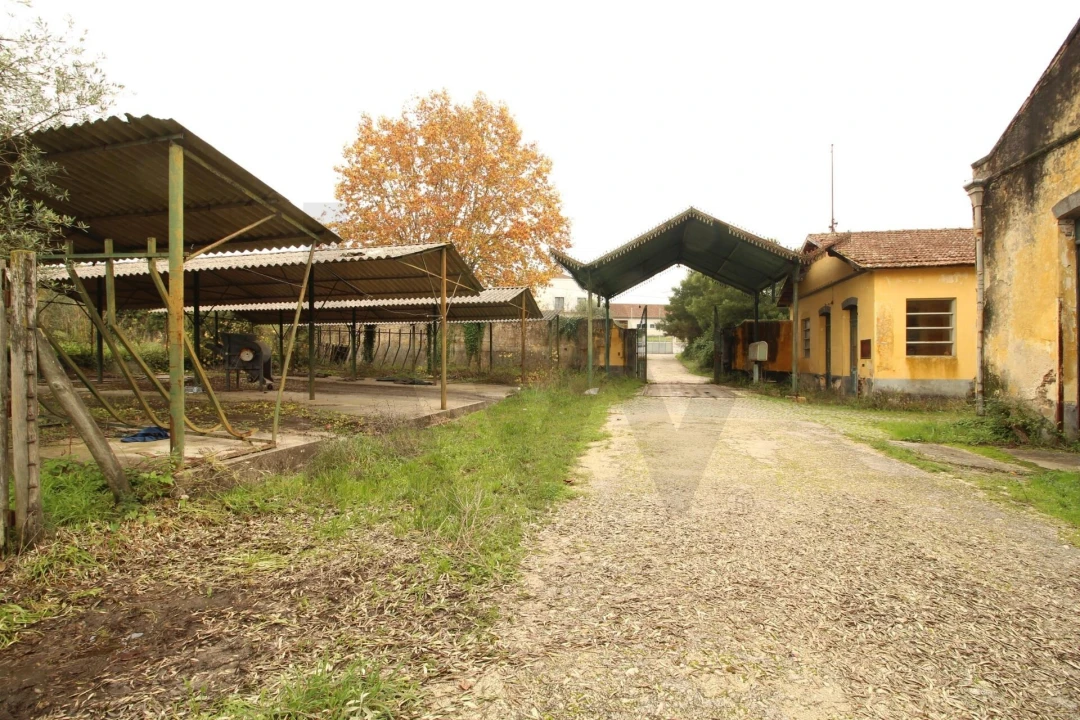 Quinta T5 para Venda em Soure Foto 26