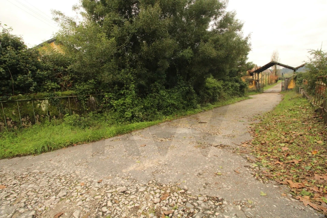 Quinta T5 para Venda em Soure Foto 9