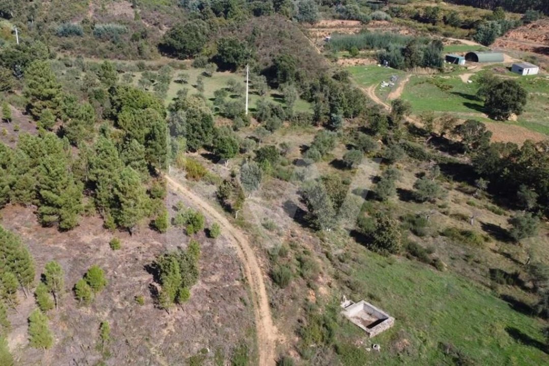 Quinta T5 para Venda em Souto da Casa Foto 11