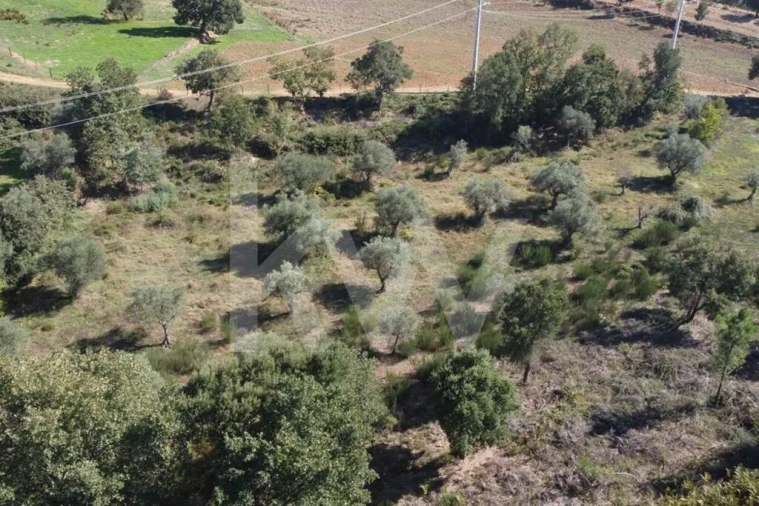 Quinta T5 para Venda em Souto da Casa Foto 3