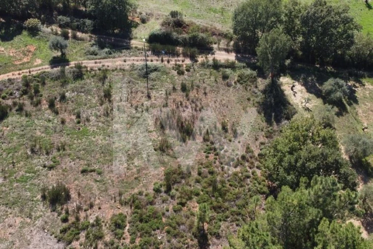 Quinta T5 para Venda em Souto da Casa Foto 6