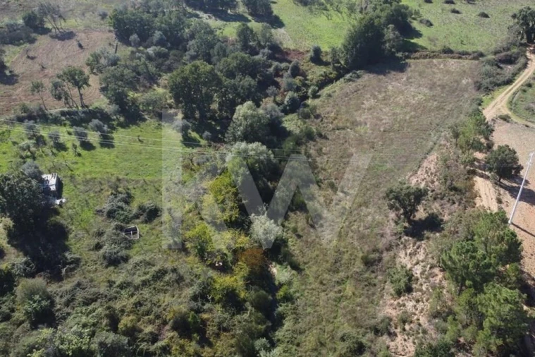 Quinta T5 para Venda em Souto da Casa Foto 16