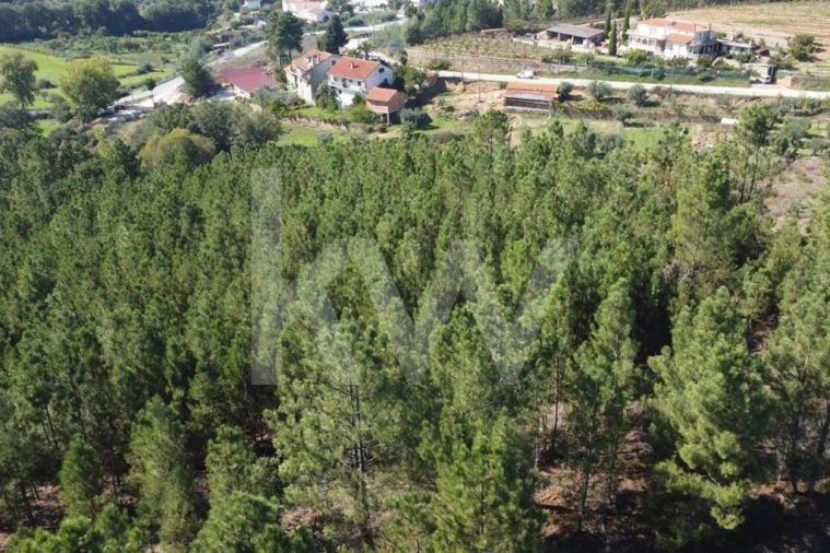 Quinta T5 para Venda em Souto da Casa Foto 5