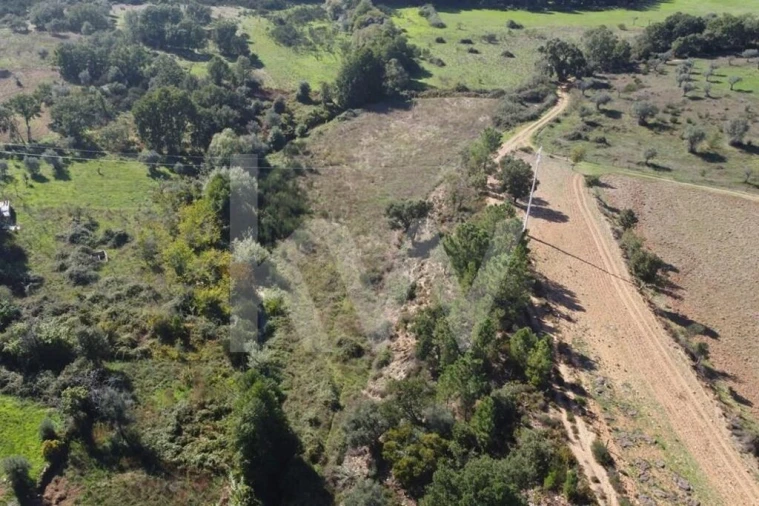 Quinta T5 para Venda em Souto da Casa Foto 17