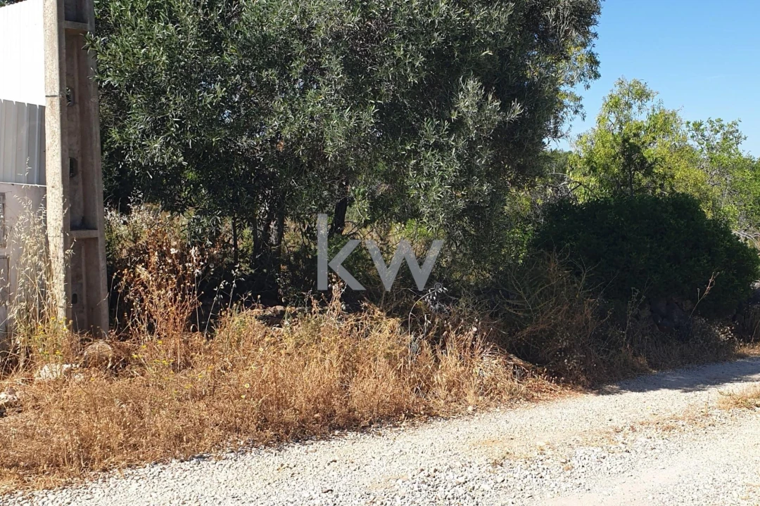 Terreno para Venda em São Bartolomeu de Messines Foto 8