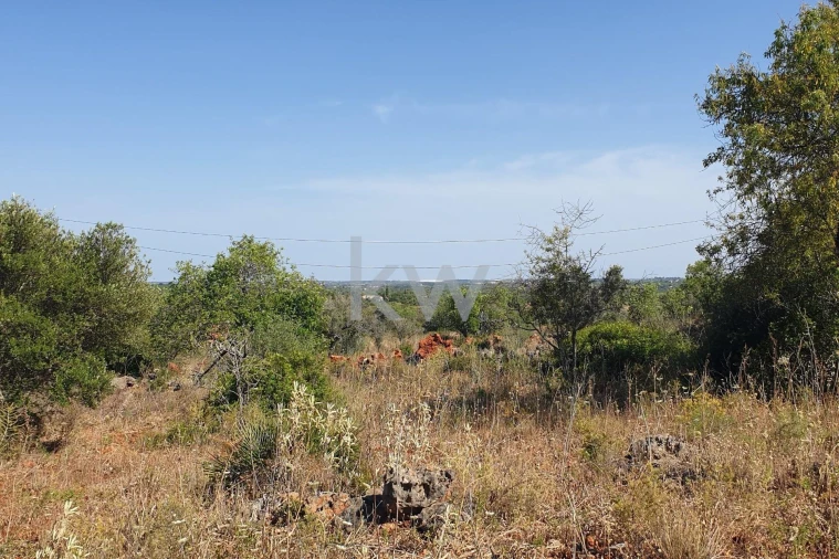 Terreno para Venda em São Bartolomeu de Messines Foto 19