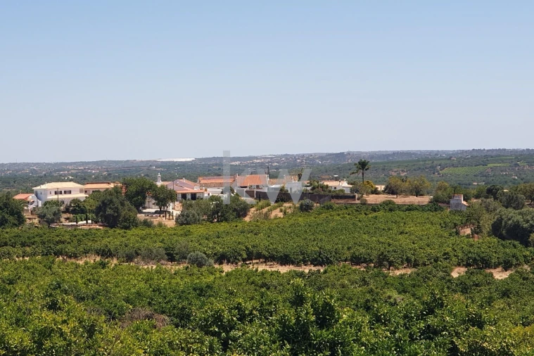 Terreno para Venda em São Bartolomeu de Messines Foto 25