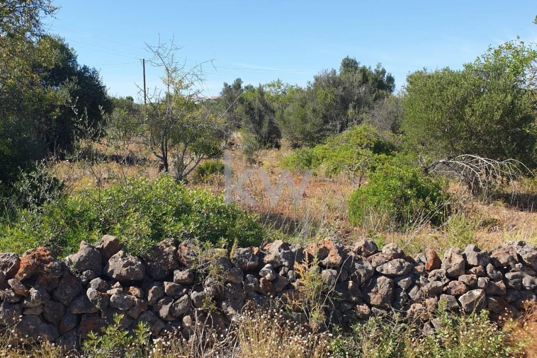 Terreno para Venda em São Bartolomeu de Messines Foto 9