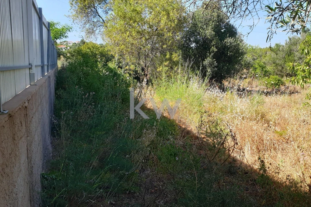 Terreno para Venda em São Bartolomeu de Messines Foto 16