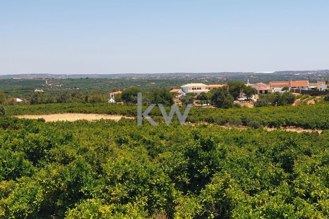 Terreno para Venda em São Bartolomeu de Messines Foto 26