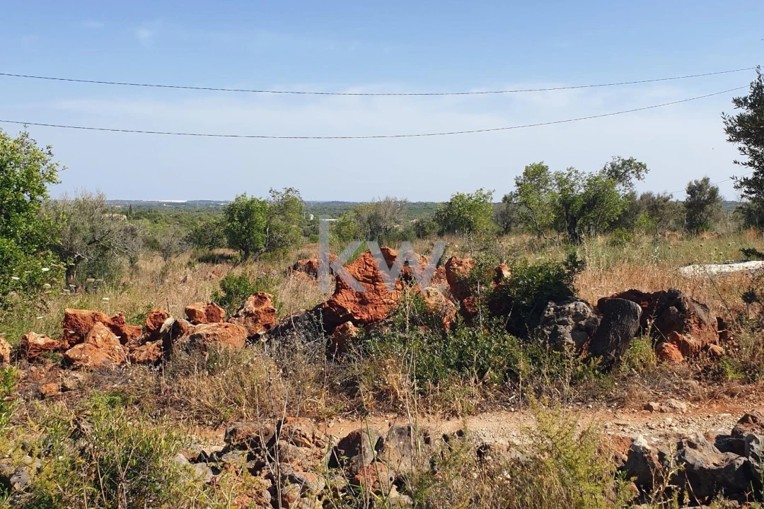 Terreno para Venda em São Bartolomeu de Messines Foto 15