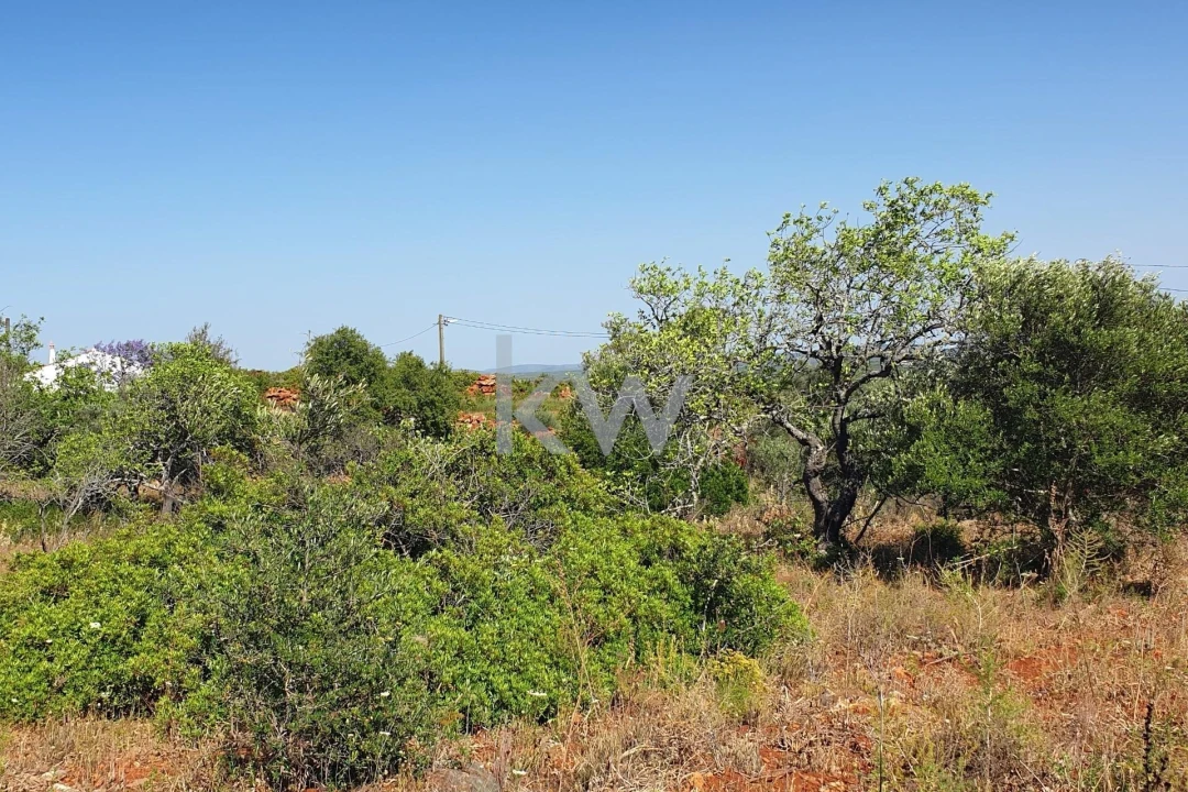 Terreno para Venda em São Bartolomeu de Messines Foto 20